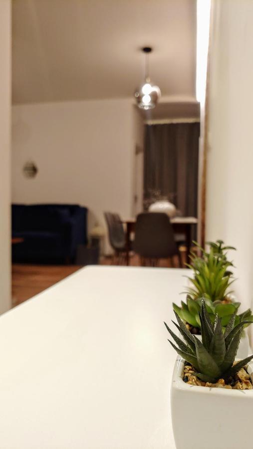 Apartament Chopin Gliwice Lejlighed Eksteriør billede
